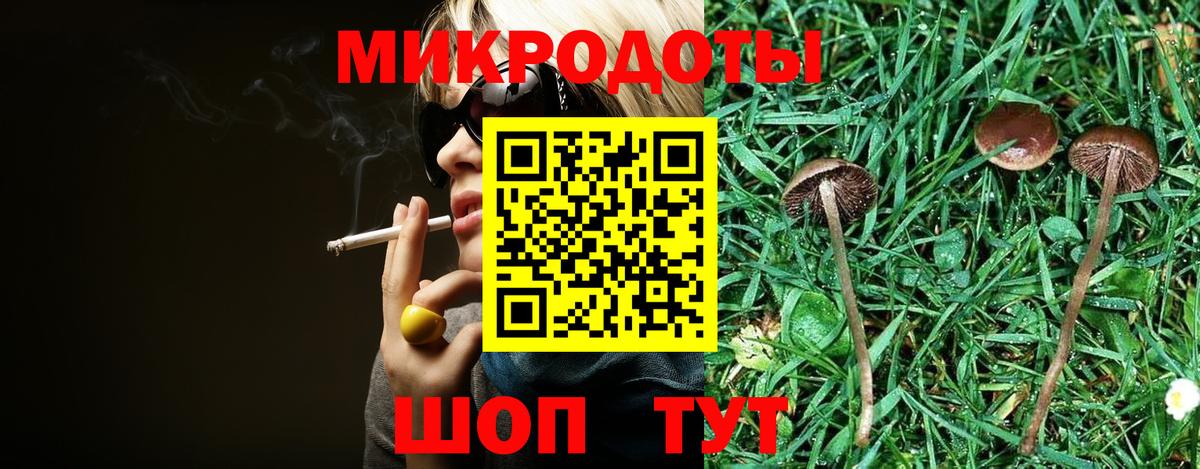 Псилоцибиновые грибы Cubensis  Вход с VPN  Нальчик 