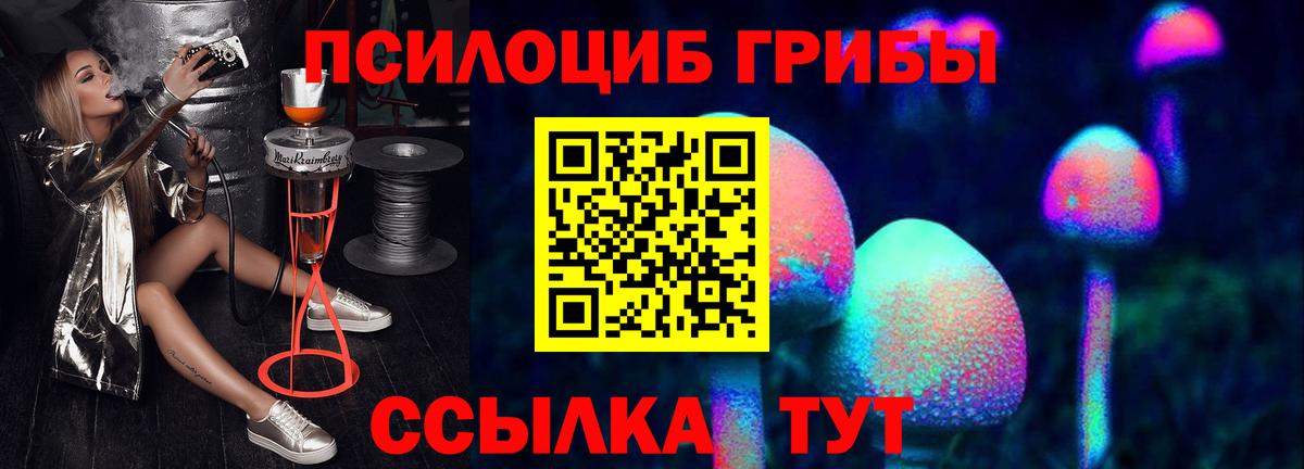 Псилоцибиновые грибы Psilocybe Нальчик